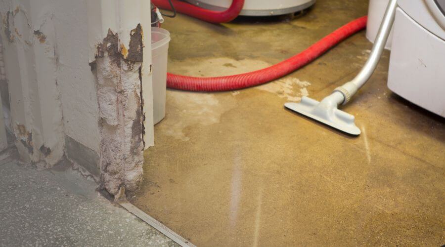 Why choose Mold Removal Walnut Creek Pros for mold removal walnut creek ca in Walnut Creek